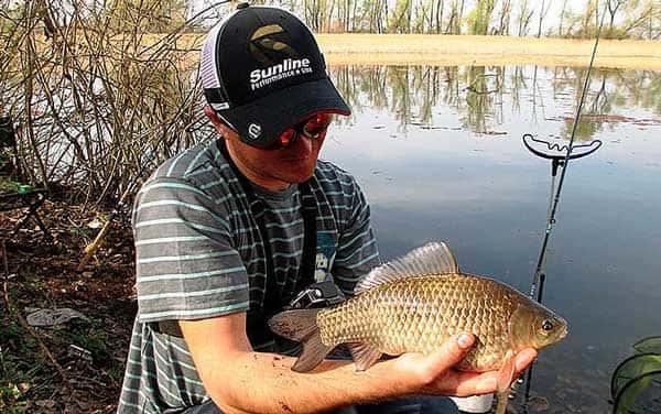 Фидер в мутной воде весной Фидер в мутной воде весной