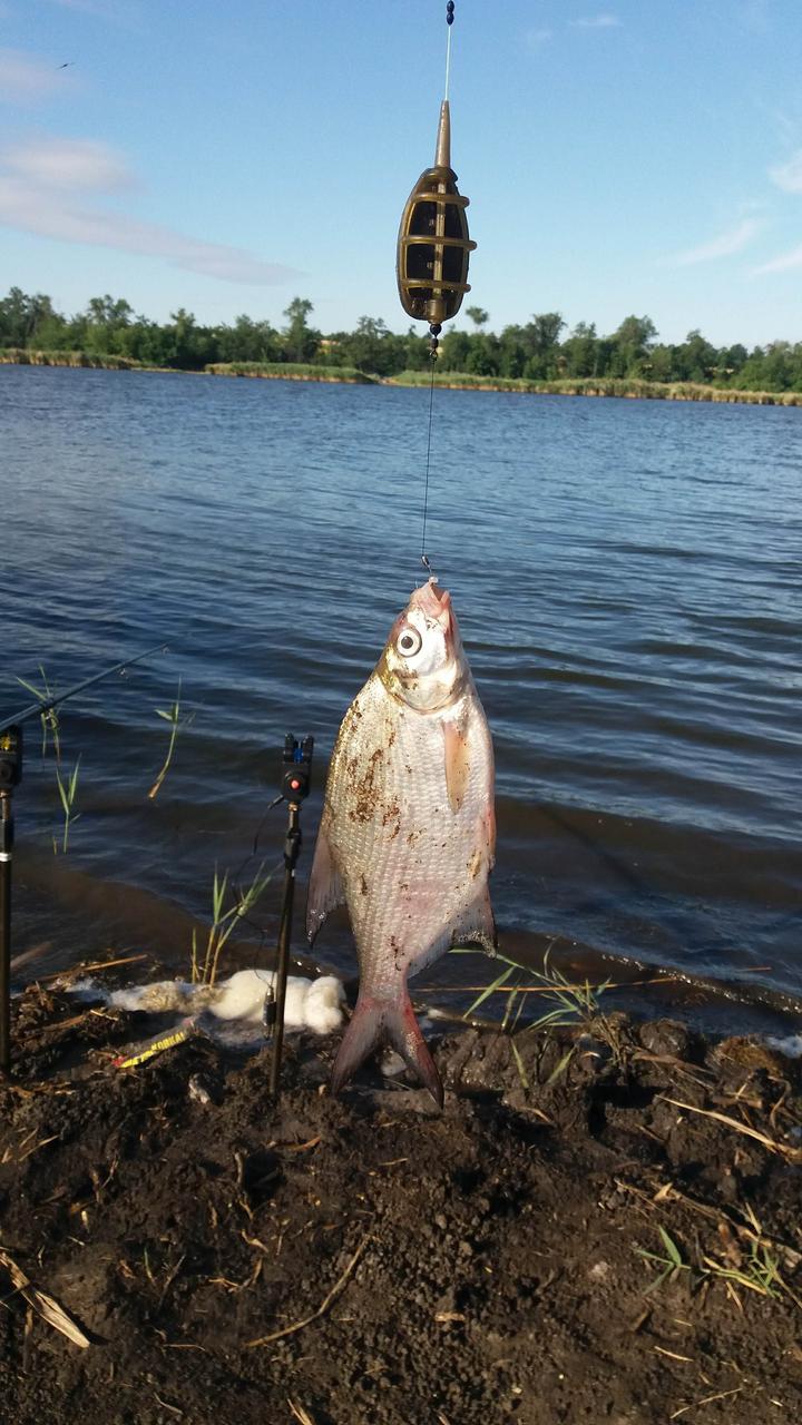 Борьба за нижнюю полку